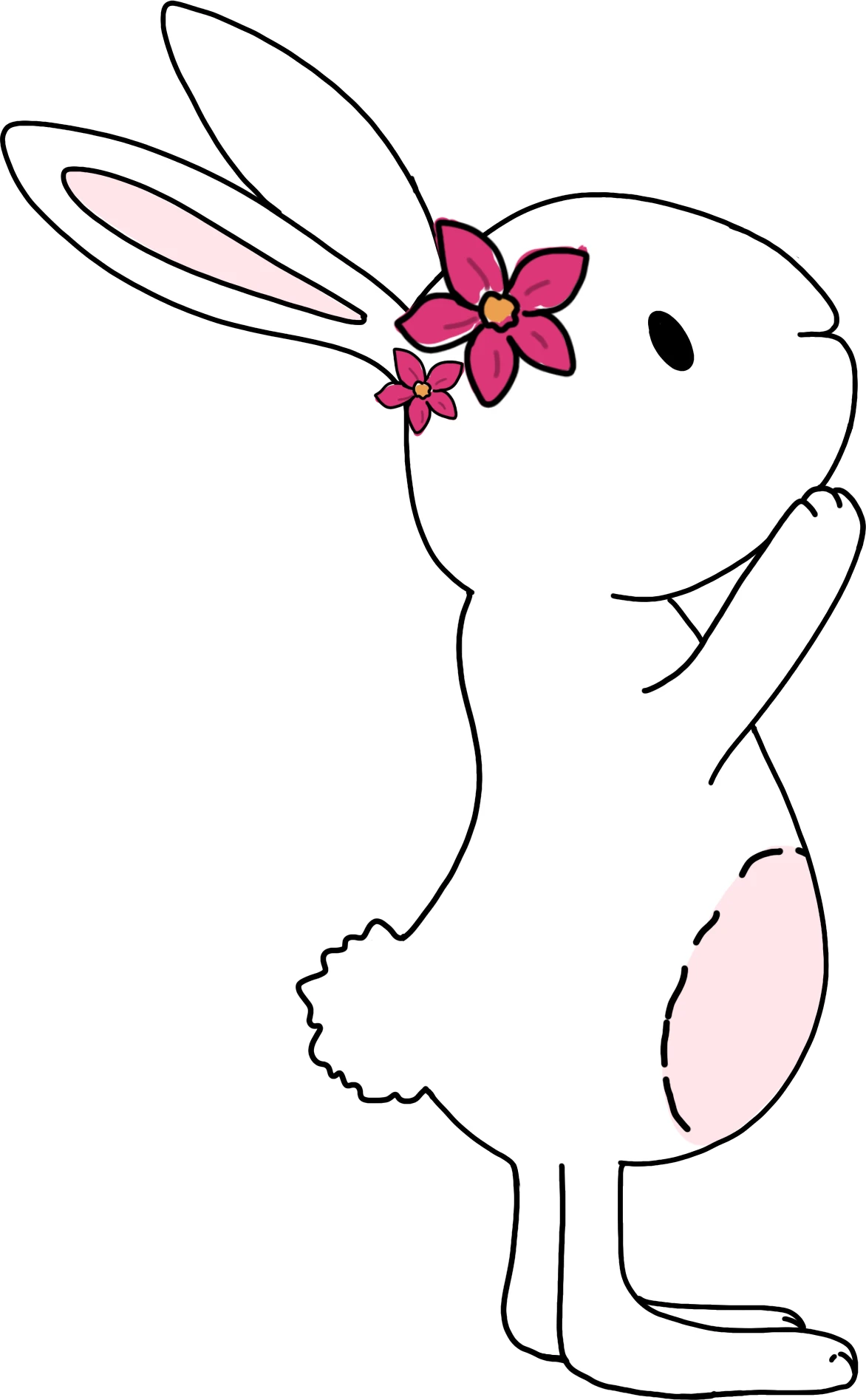 Hasi